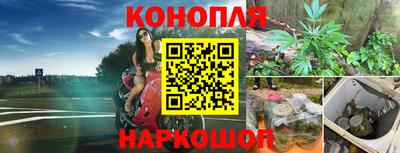 MDMA Краснознаменск