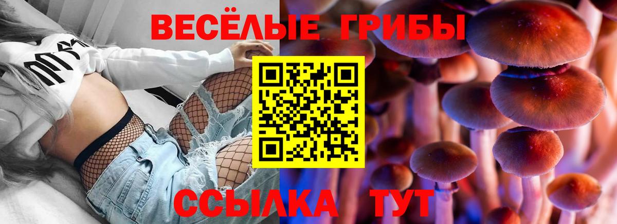 Галлюциногенные грибы GOLDEN TEACHER  Вход с VPN  Кировск 