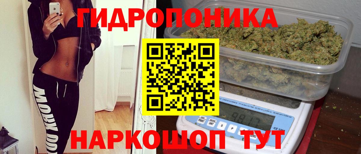 Канабис SATIVA & INDICA Кировск